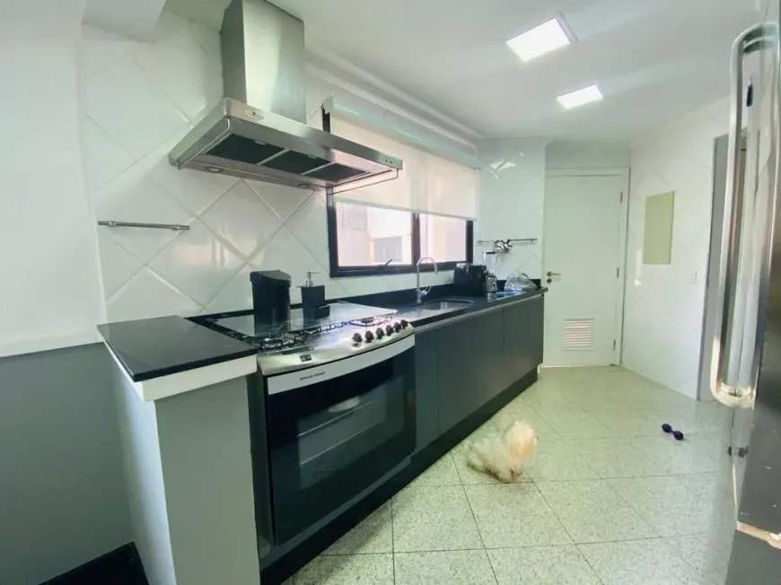 Cobertura, 5 quartos, 360 m² - Foto 8