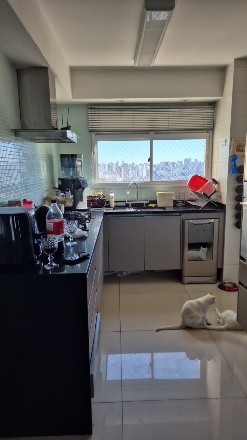 Apartamento, 4 quartos, 237 m² - Foto 11
