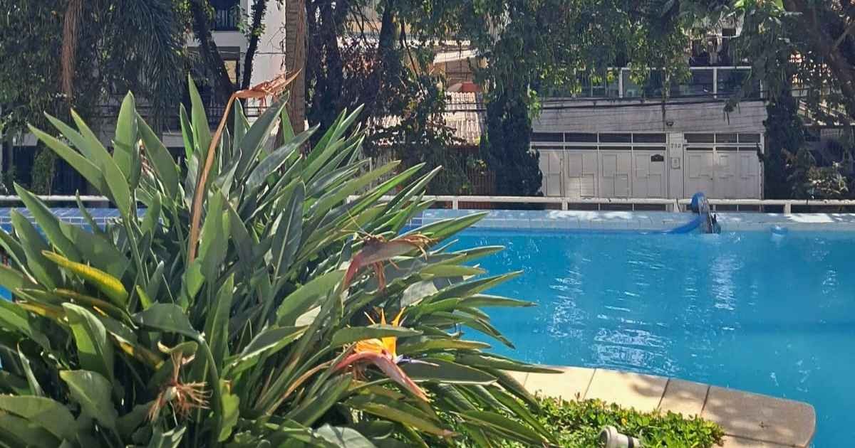 Apartamento, 2 quartos - Foto 33